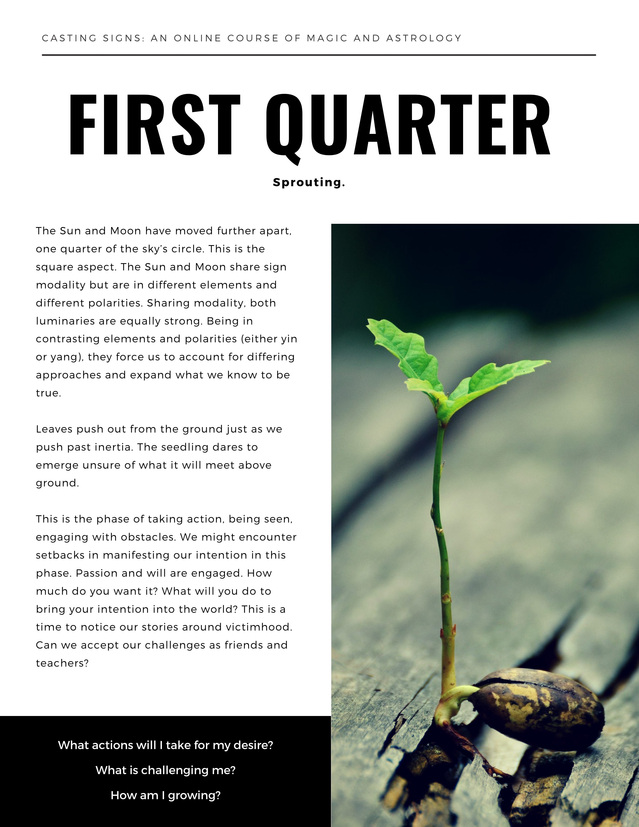 Single page of digital workbook page with elements arranged like a magazine page: tiny header at the top featuring the name of the class, H1: First quarter, subtitle: Sprouting, three paragraphs of text about the lesson and three questions at the bottom enclosed within a black text box featuring questions for reflection